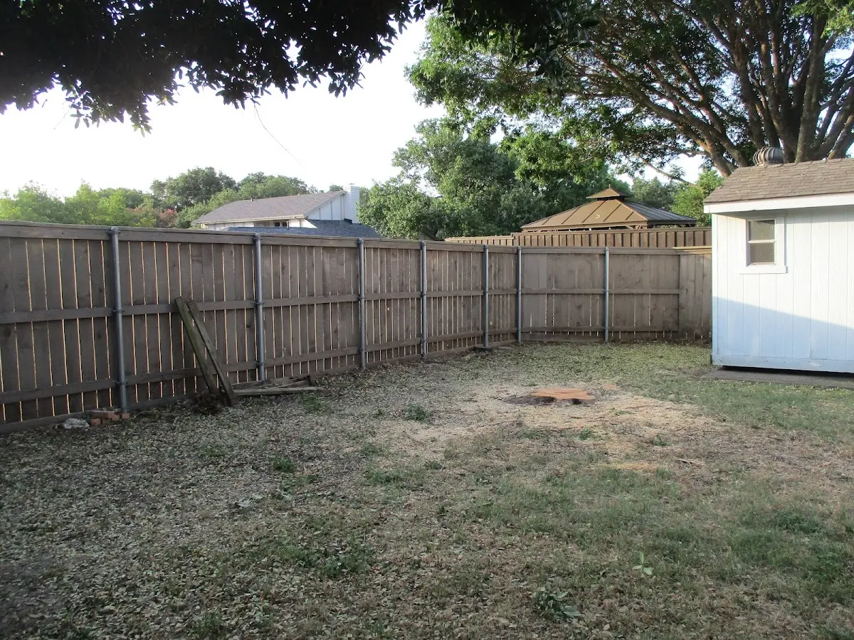 Cleared yard after professional tree removal in Weldona